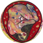 rostros del olvido